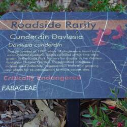 wurden erst 1991 entdeckt, zwischen Unkraut neben der Straße!