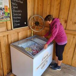 Die Auswahl ist reichhaltig!