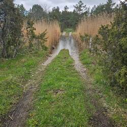 Das nächste Hindernis...