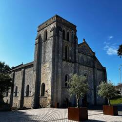 Auferstanden aus den Dünen
