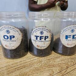 3 sortes de thé noir