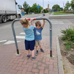 Kinder wie Stiere