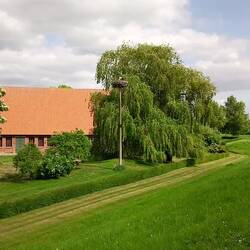 Tolle Ausblicke in den Elbtalwiesen