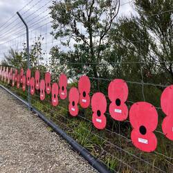 Poppies an Martha Gold Mine