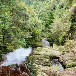 Wentworth Falls von oben