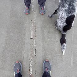 Mitten auf der Salzachbrücke.