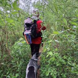 Zum Schluß noch mehrere 100 m Dschungel.