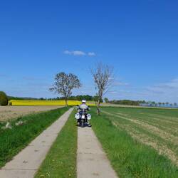 Unterwegs auf einem Kolonnenweg