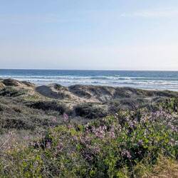 Stellplatz direkt am Strand