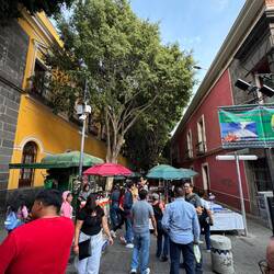 Dann entdeckten wir das Künstlerviertel mit seinem Trödelmarkt und den schicken Bars und Restaurants