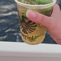 Natürlich mit open Bar 🍹