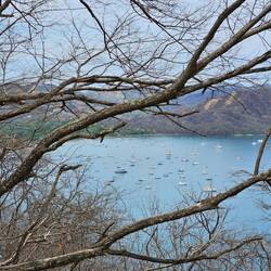 Back home, Blick auf den Palya del Coco