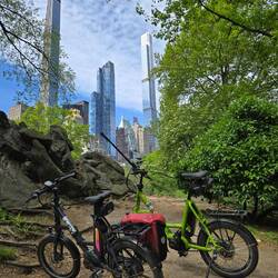 Kontrast im Central Park