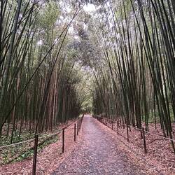 Botanical Gardens