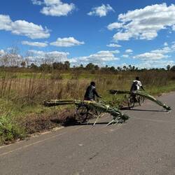 Schwertransport mit Überbreite! Hier wir Zuckerrohr transportiert.