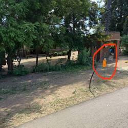 Hab unseren Barboy gefragt was hier verkauft wird. Benzin! Überall wo was steht gibt's Sprit.