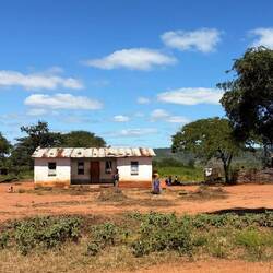 Hier wird Soja gedroschen! Anschließend gesiebt und abgesackt.