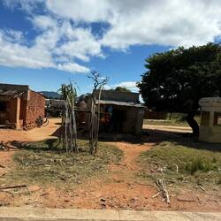 Das lange Zuckerrohr wird an solchen Ständern auf- und ausgestellt.