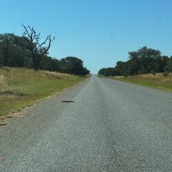 Straßen im Chobe gehen aber auch anders