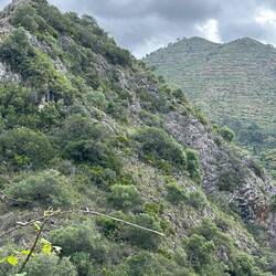 It must have been quite a job to work the terraces at the top of the mountain.