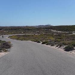 über die Insel Rottnest Island.