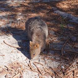 Unsere heutigen Hauptdarsteller.