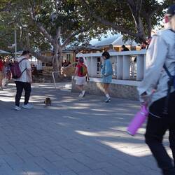 Dann zurück im Hauptort ...