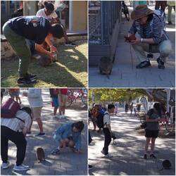 Touris auf der Jagd..