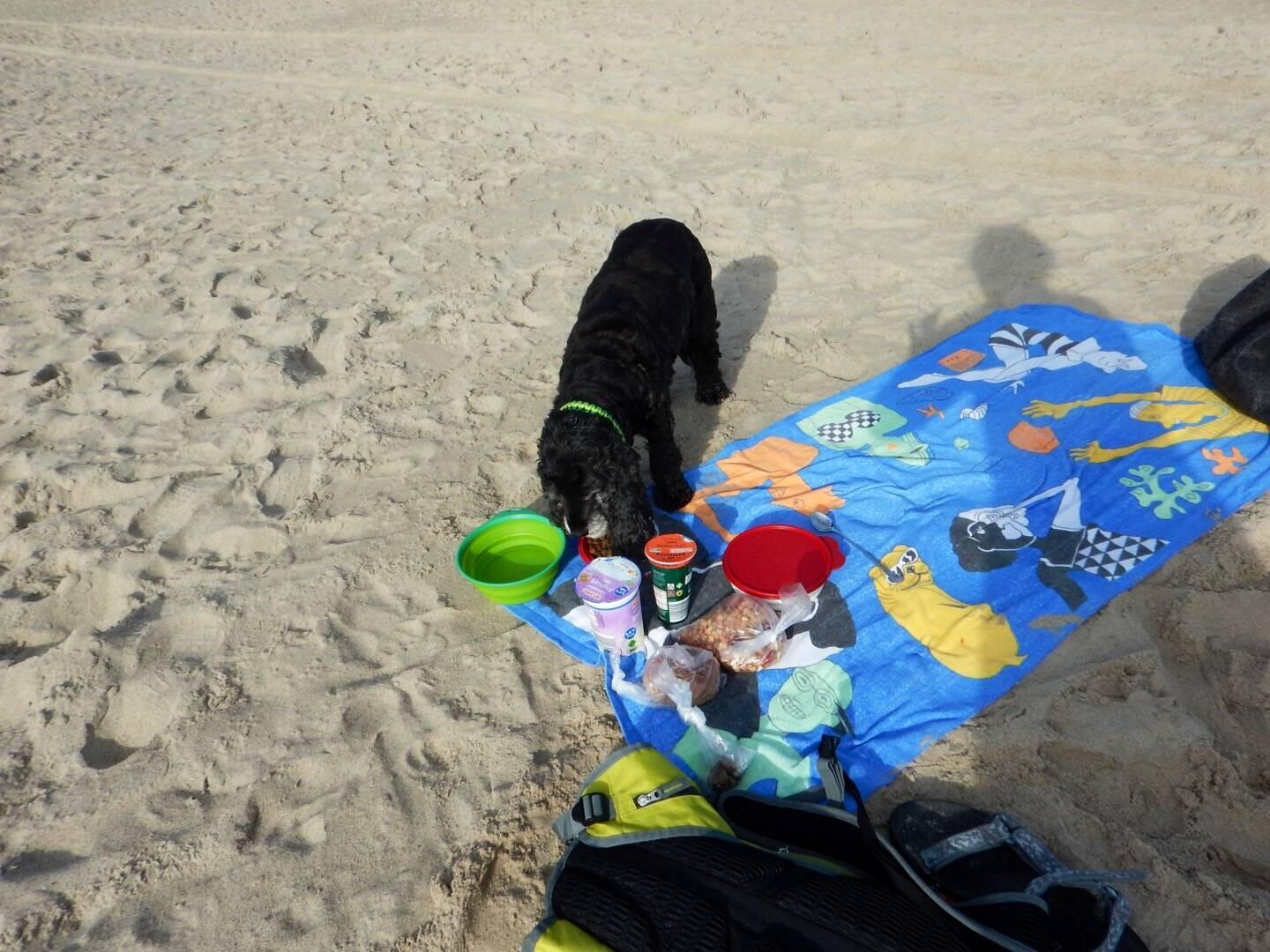 Frühstück mit Kira am Strand