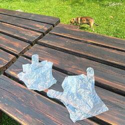 Scored some gloves at grocery store - handy for over my wool gloves if cold