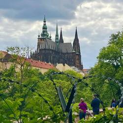 Tom and me through the wire