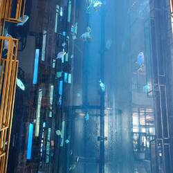 Mit Aquarium in der Lobby