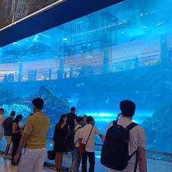 Mit Aquarium