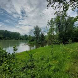 Die Mündung der Sur.