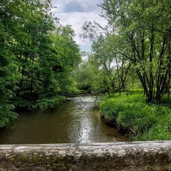 Einer der vielen kleinen Bäche.