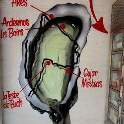 Basin d'Arcachon als Auster dargestellt.