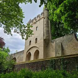 Speyer Burg