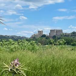 Blick auf die Abtei von Dingens…