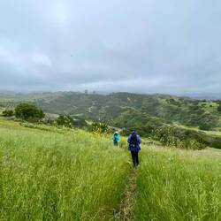 May 6, hike 4.5 miles with 741 ft elevation gain.