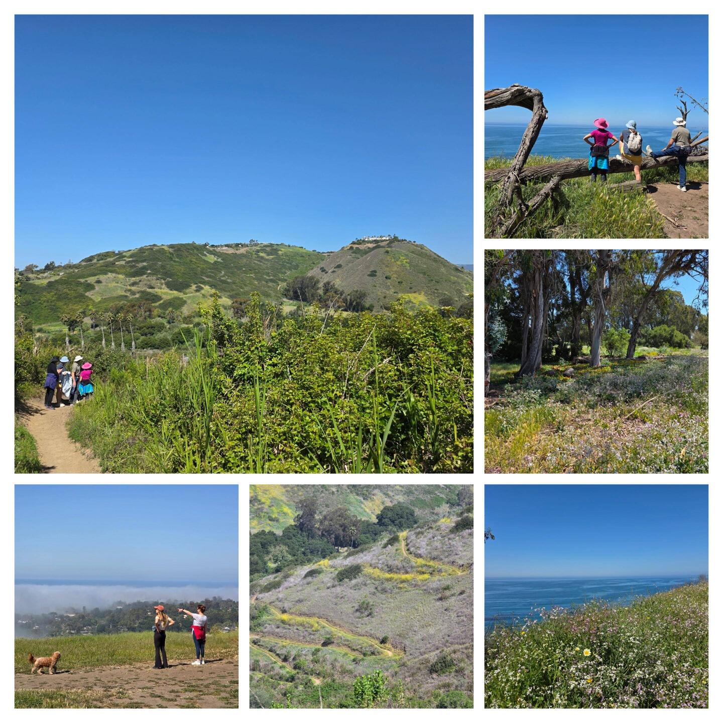 Elings Park and Douglas Preserve, May 9, 2025
