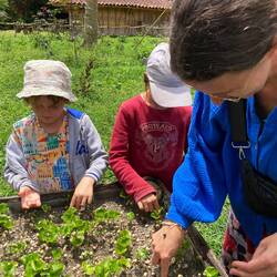 Plantation de café 🌱