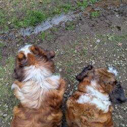 140 kg Sicherheitsdienst