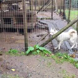 Lärmpegel vorm Füttern