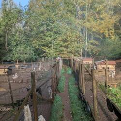 Die Käfige (nicht alle)