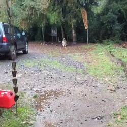 Klarer Temperament unterschied zwischen den beiden 😂