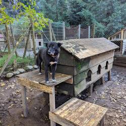 Neue Terrasse für Ursa