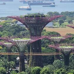 Gardens over the bay