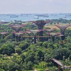 The gardens by the bay Central one is observation deck