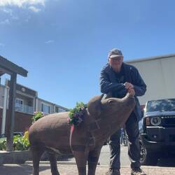 Me and my new pet pig. lol