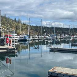 Not many C-Dorys yet on the H dock at Friday Harbor.